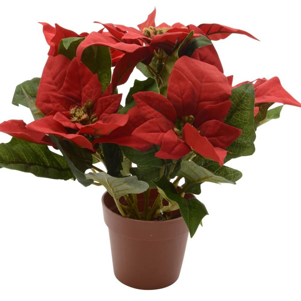 Kunstmatige kerstster of Poinsettia - 2