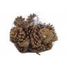 Pine cones 300g